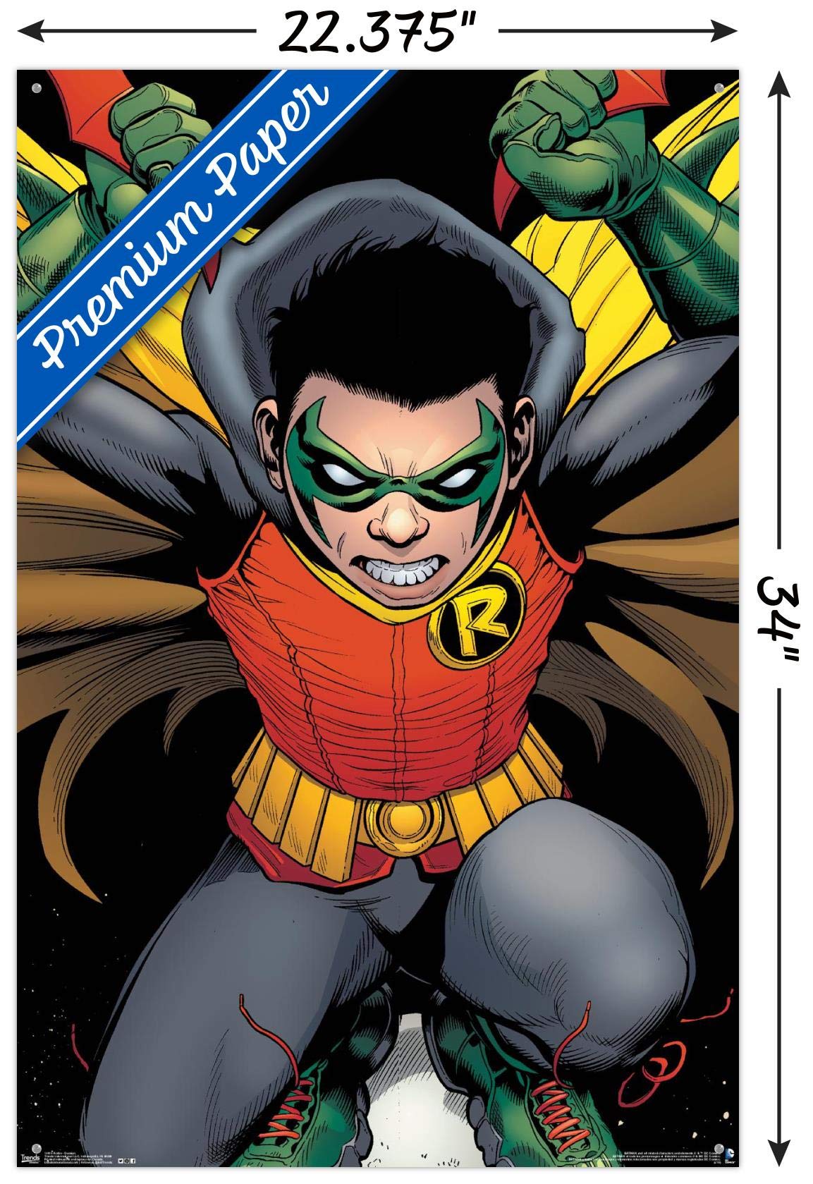 Amazon.com: DC Comics - Robin - Damian Wayne Wall Poster with Push